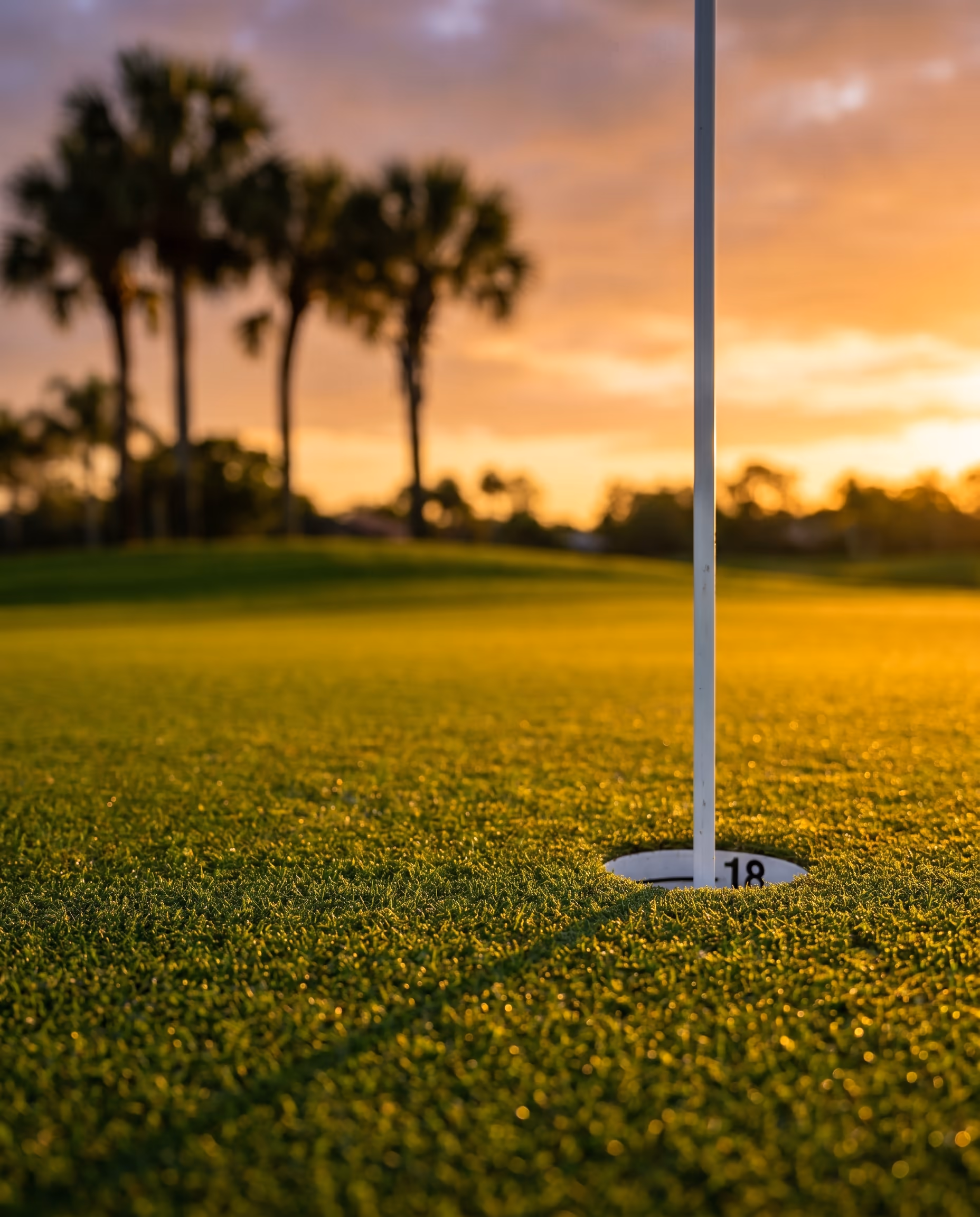 Putting green at golden hour with flag in cup
